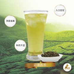 迎香青茶、迎香烏龍、迎香茶、迎香青茶批發、烏龍茶、青茶、清茶、飲料茶葉、高山茶、商用茶葉、Ying Xiang Green Tea