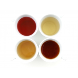 飲料茶葉、茶葉推薦、商用茶、珍珠奶茶、祁韻紅茶、台茶23、タピオカ