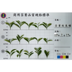 飲料茶葉、商用茶、茶改場、茶業標準、タピオカ